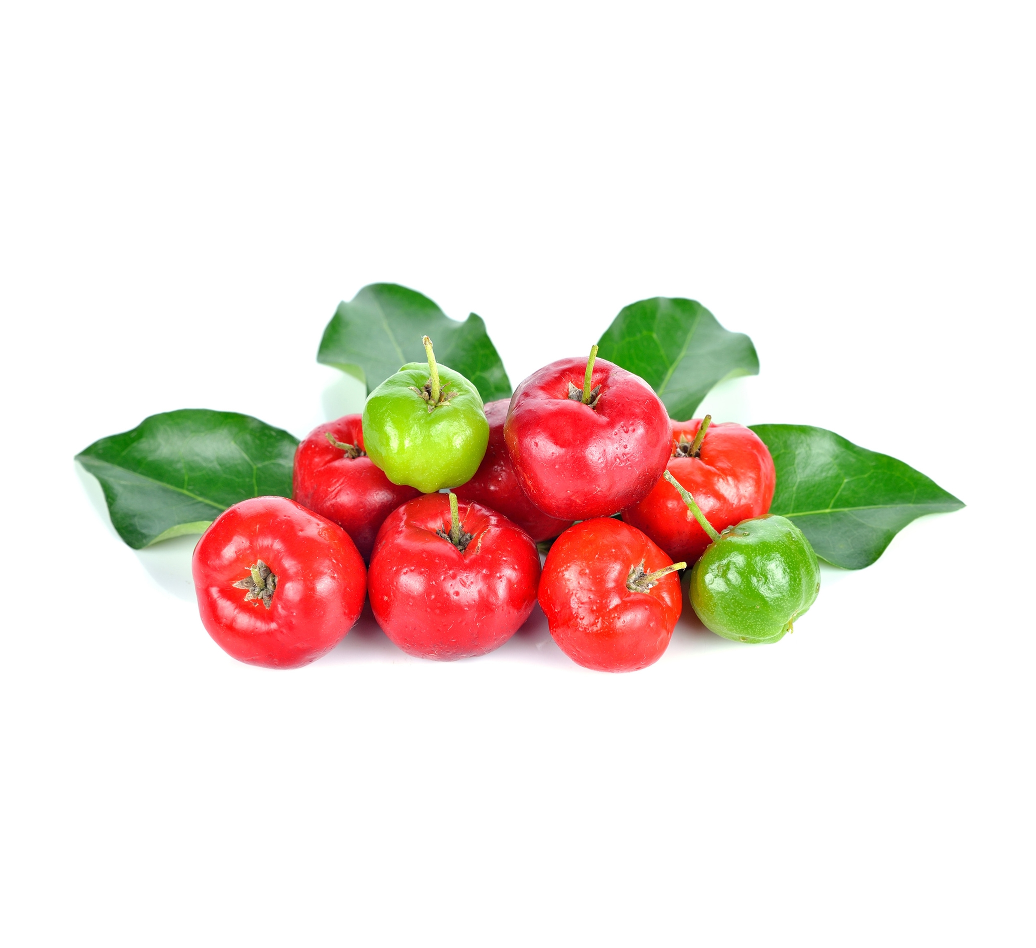Ingredient: Acerola Fruit Extract